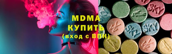 молекула духа Богданович